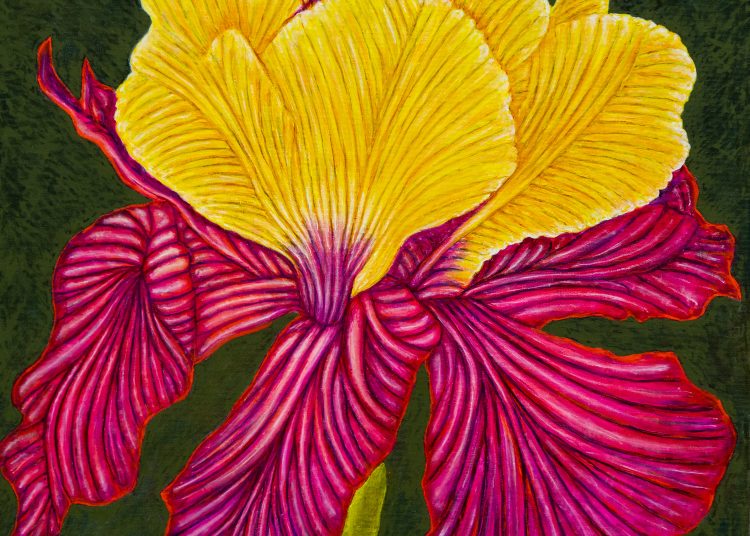 A magyar kultúra napja. Ünnepség Vácon (képgaléria)