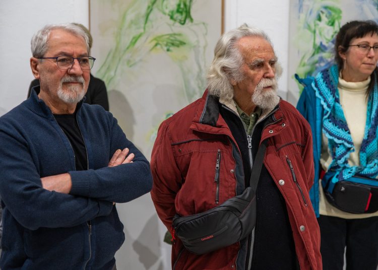 A magyar kultúra napja. Ünnepség Vácon (képgaléria)