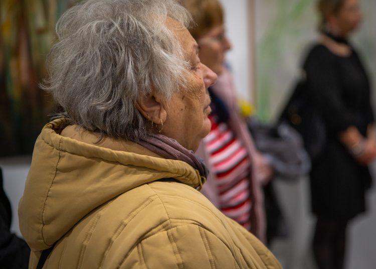 A magyar kultúra napja. Ünnepség Vácon (képgaléria)