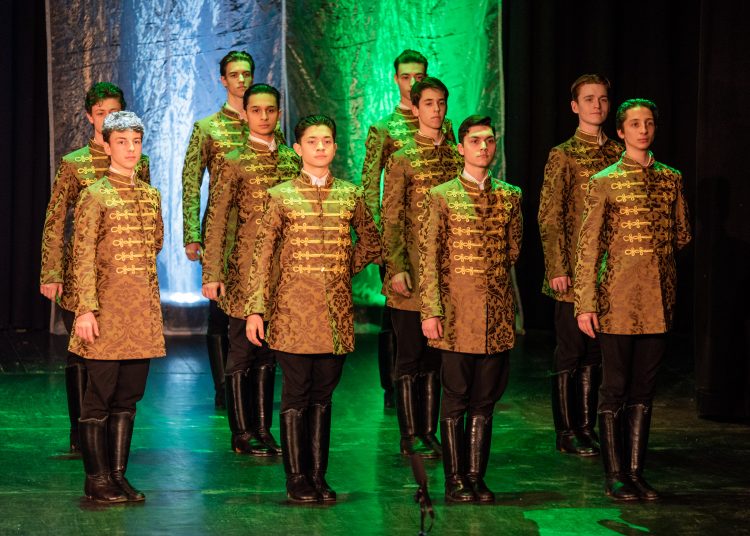 A magyar kultúra napja. Ünnepség Vácon (képgaléria)