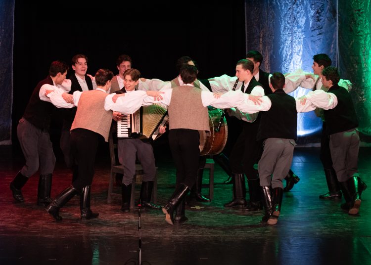 A magyar kultúra napja. Ünnepség Vácon (képgaléria)