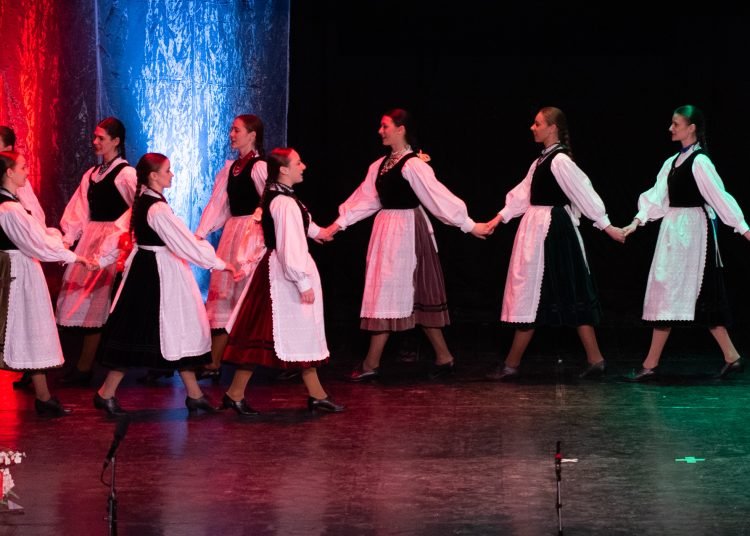 A magyar kultúra napja. Ünnepség Vácon (képgaléria)