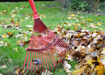 Levéltakarítás és lombgyűjtés a városban