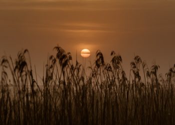 Kellemes idő és melegfront érkezik a hétvégén