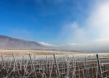 Agrometeorológia: szükség lenne a tartós hidegre