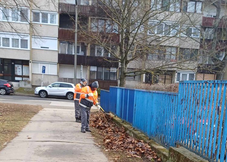 Galéria: szerdán is folytatta a lombgyűjtést a városfejlesztés