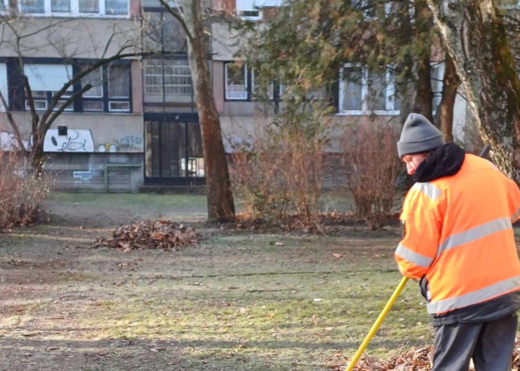 Galéria: szerdán is folytatta a lombgyűjtést a városfejlesztés