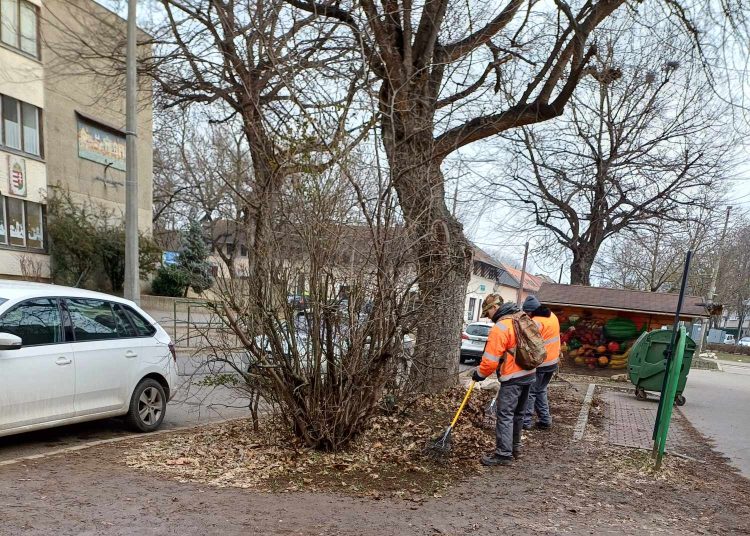 Galéria: szerdán is folytatta a lombgyűjtést a városfejlesztés