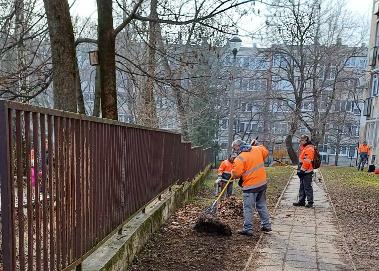 Galéria: szerdán is folytatta a lombgyűjtést a városfejlesztés