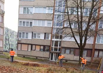 Galéria: szerdán is folytatta a lombgyűjtést a városfejlesztés