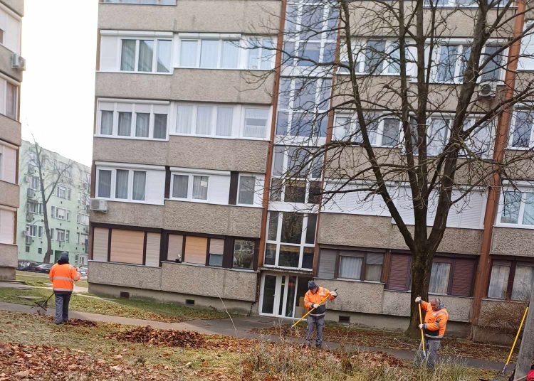 Galéria: szerdán is folytatta a lombgyűjtést a városfejlesztés