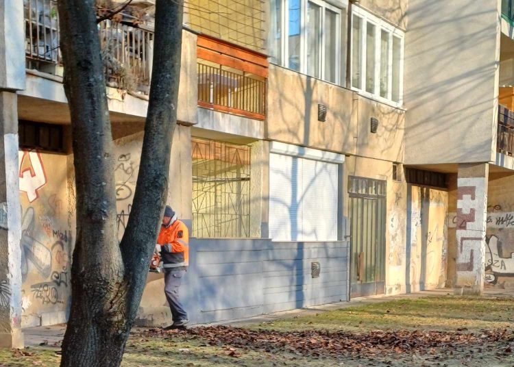 Galéria: szerdán is folytatta a lombgyűjtést a városfejlesztés