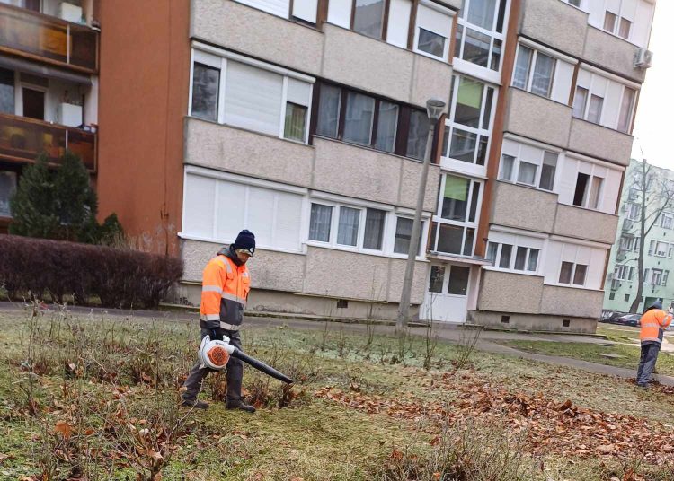 Galéria: szerdán is folytatta a lombgyűjtést a városfejlesztés