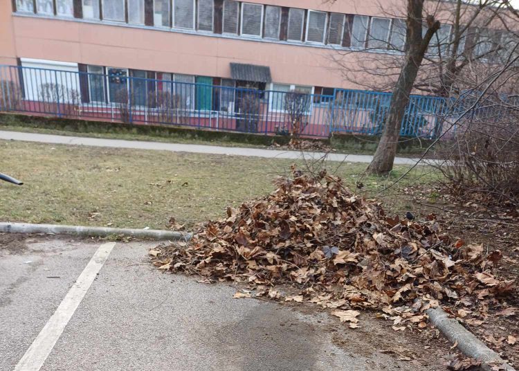 Galéria: szerdán is folytatta a lombgyűjtést a városfejlesztés