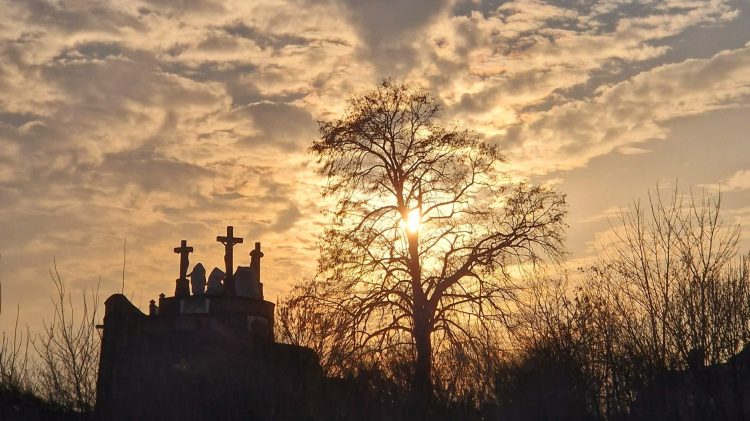 Rekordenyhe volt a február eső fele, szinte áprilisi volt az idő