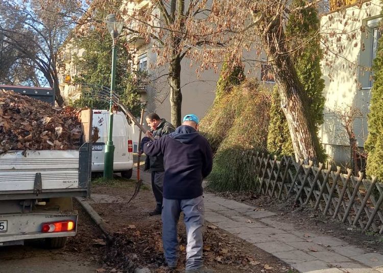 Galéria: elkezdte a tavaszi takarítást a Városfejlesztő