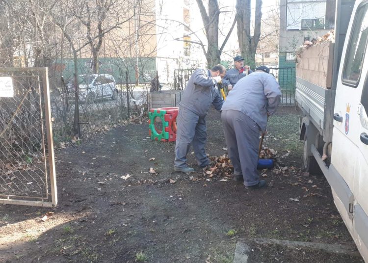 Képek: így zajlott a lombszállítás a váci intézményekből