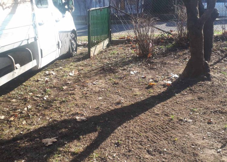 Képek: így zajlott a lombszállítás a váci intézményekből