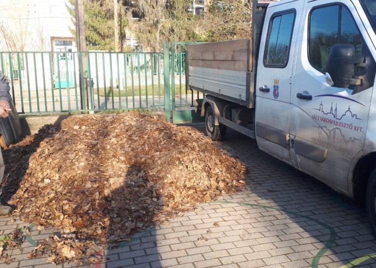 Képek: így zajlott a lombszállítás a váci intézményekből