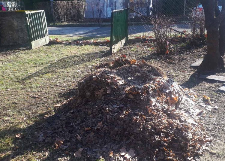 Képek: így zajlott a lombszállítás a váci intézményekből