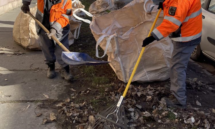 A Városfejlesztő munkáját dicsérte a deákvári lakó