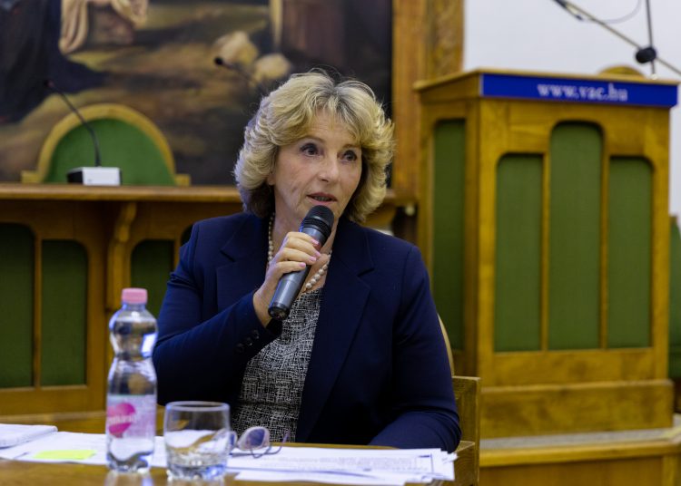 Vác újra él! Idén 1,3 milliárd forint jut a város fejlesztésére