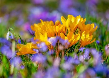 Elképesztő! Megdőlt a melegrekord Magyarországon