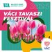 Váci Tavaszi Fesztivál 2024