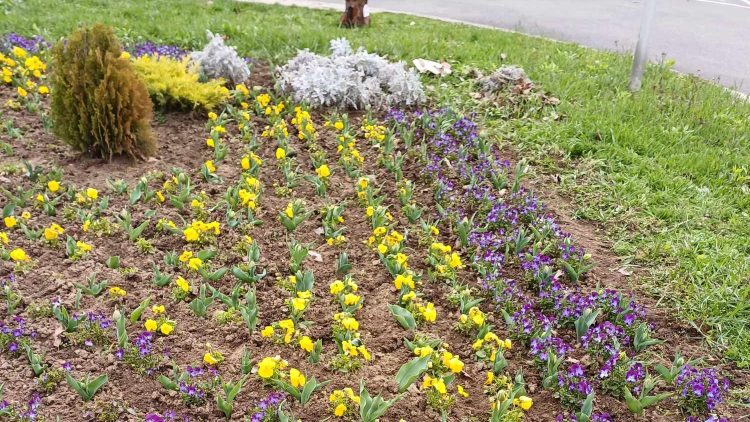 Képek: kedden sem tétlenkedett a városfejlesztő