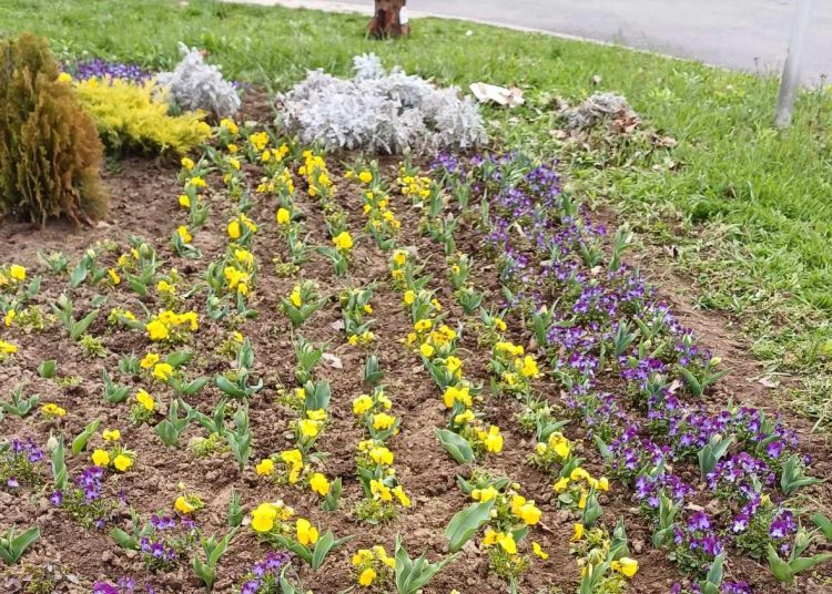 Képek: kedden sem tétlenkedett a városfejlesztő