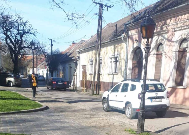 Városszerte zajlik a virágágyások öntözése