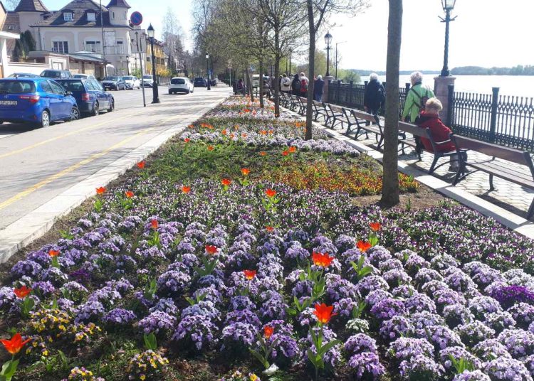 Városszerte zajlik a virágágyások öntözése