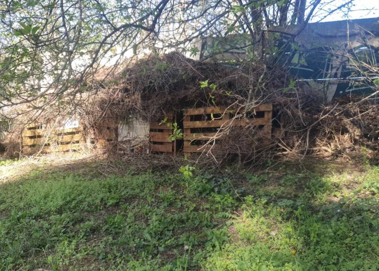 Elkezdődött a zöldhulladék elszállítása a Munkácsy parkból