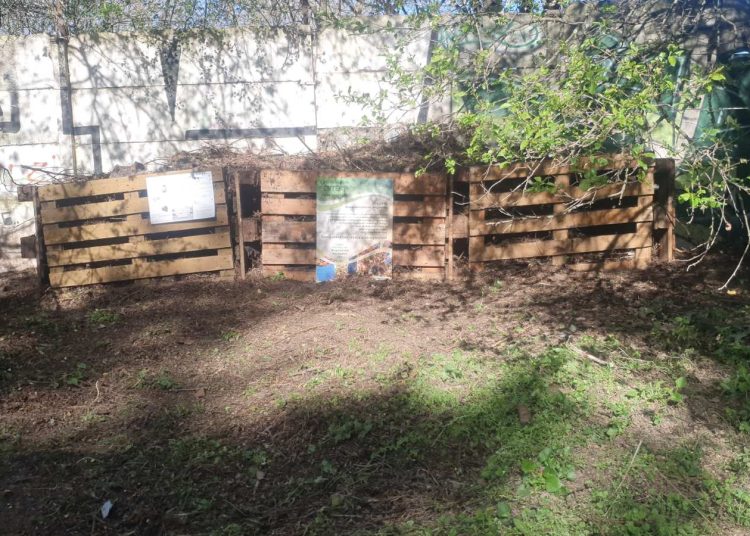 Elkezdődött a zöldhulladék elszállítása a Munkácsy parkból