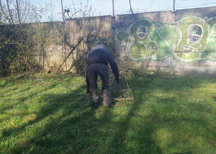 Elkezdődött a zöldhulladék elszállítása a Munkácsy parkból