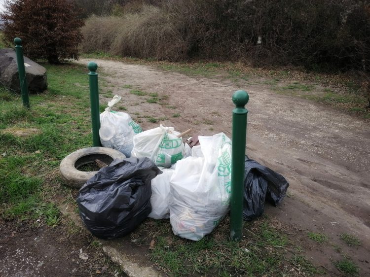 Közösségi szemétszedés volt Vácon