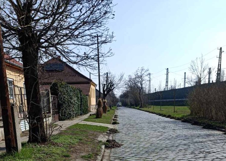 A Városfejlesztő már a tavaszi munkákat végzi