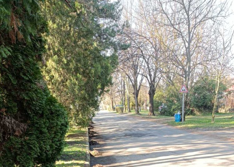 A Városfejlesztő már a tavaszi munkákat végzi