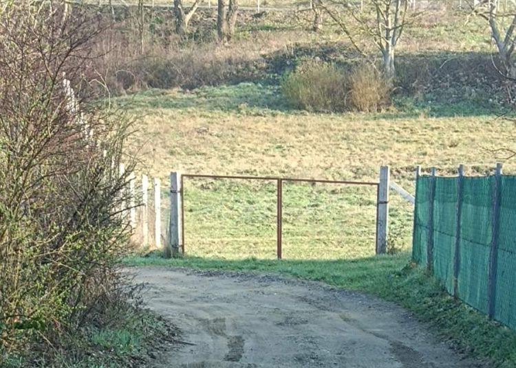 A Városfejlesztő már a tavaszi munkákat végzi
