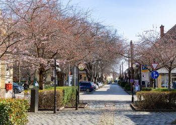 Figyelmeztet a NAV: fontos határidő közeleg azoknak, akik postán kérik az adóbevallásukat