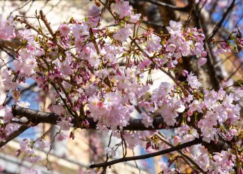 A kereszténység legnagyobb ünnepe – Húsvét