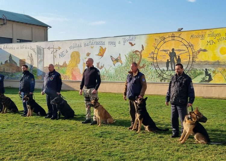 Így zajlott a kutyák kiképzése a váci börtönben