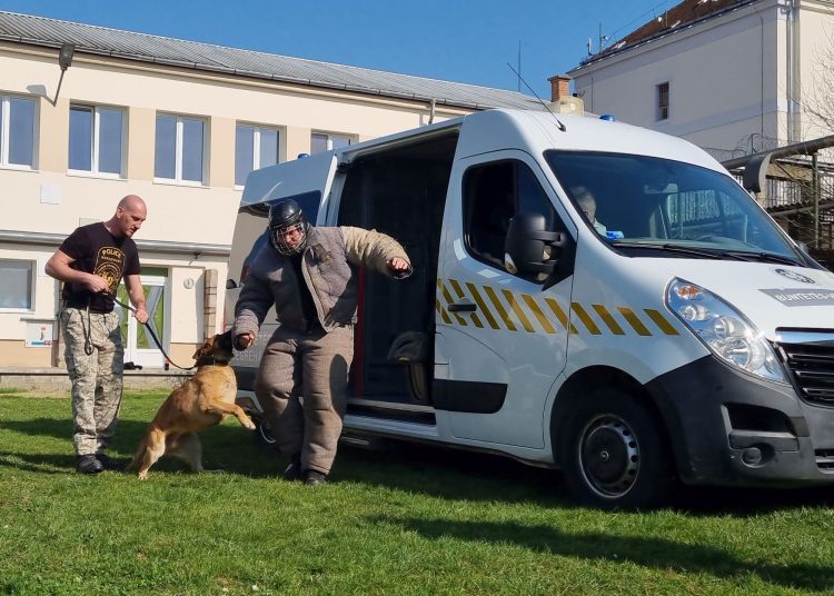 Így zajlott a kutyák kiképzése a váci börtönben