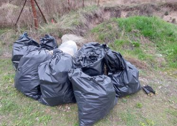 Közösségi szemétszedés a Dunaparton