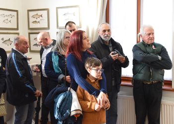 Magyar vizek halai Nagymaroson a Sigilben