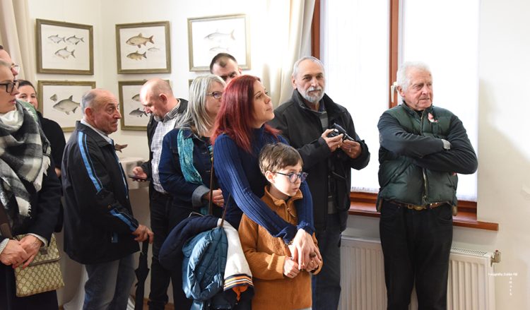 Magyar vizek halai Nagymaroson a Sigilben