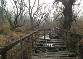 Mentsük meg a tanösvényt!