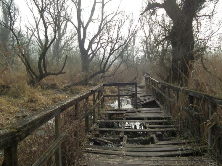 Mentsük meg a tanösvényt!