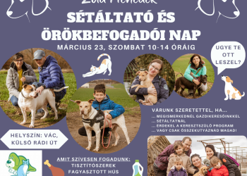 Örökbefogadói és sétáltató nap lesz szombaton a Zöld Menedékben