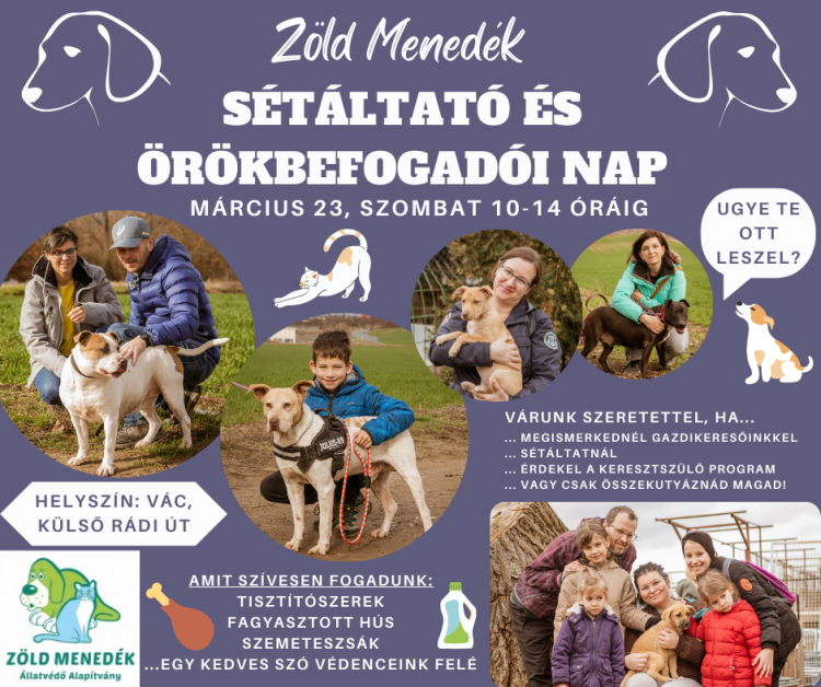 Örökbefogadói és sétáltató nap lesz szombaton a Zöld Menedékben